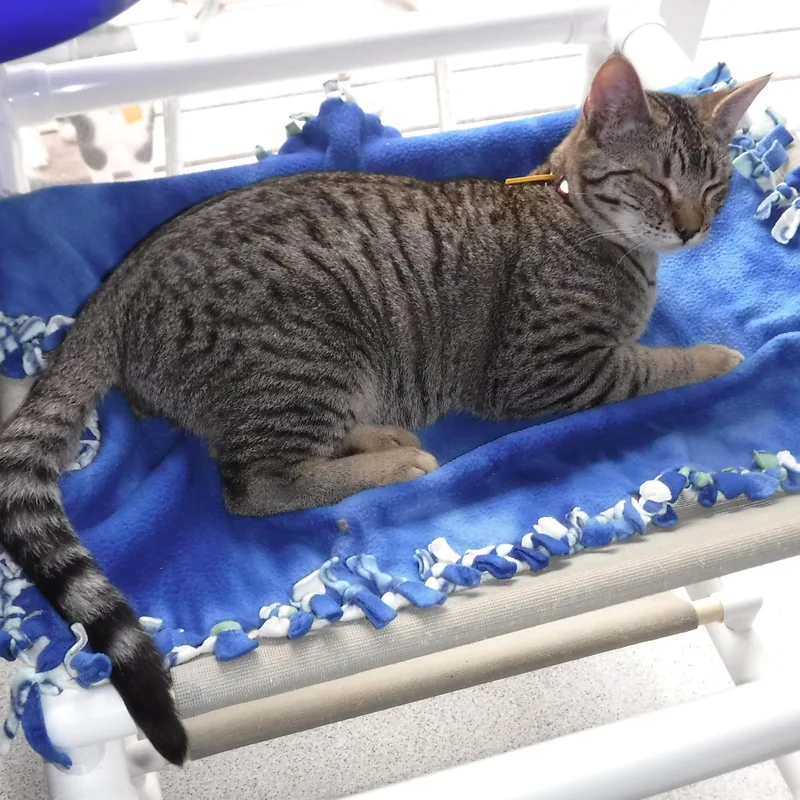 Ben  Friendly And thumbnail 6