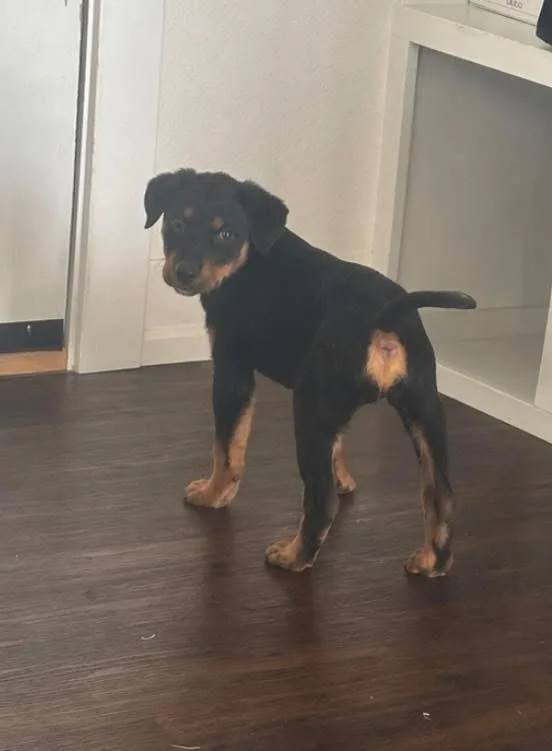 Molly May thumbnail 2