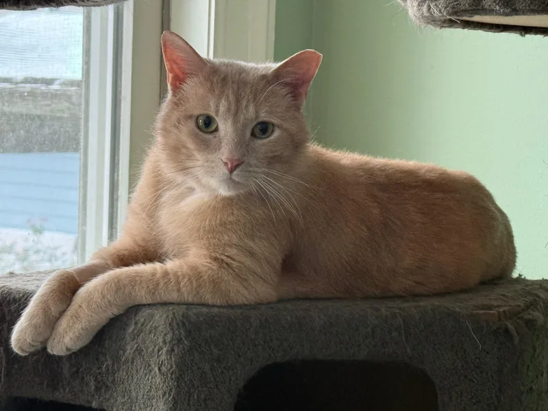 Bobby Bryan thumbnail 2