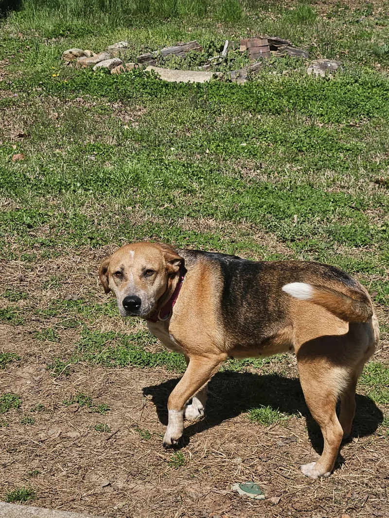 Betty Lou thumbnail 2