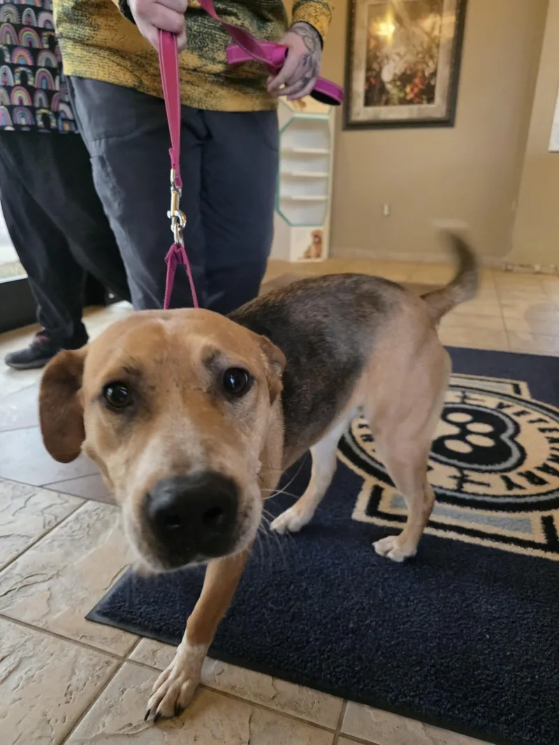 Betty Lou thumbnail 4