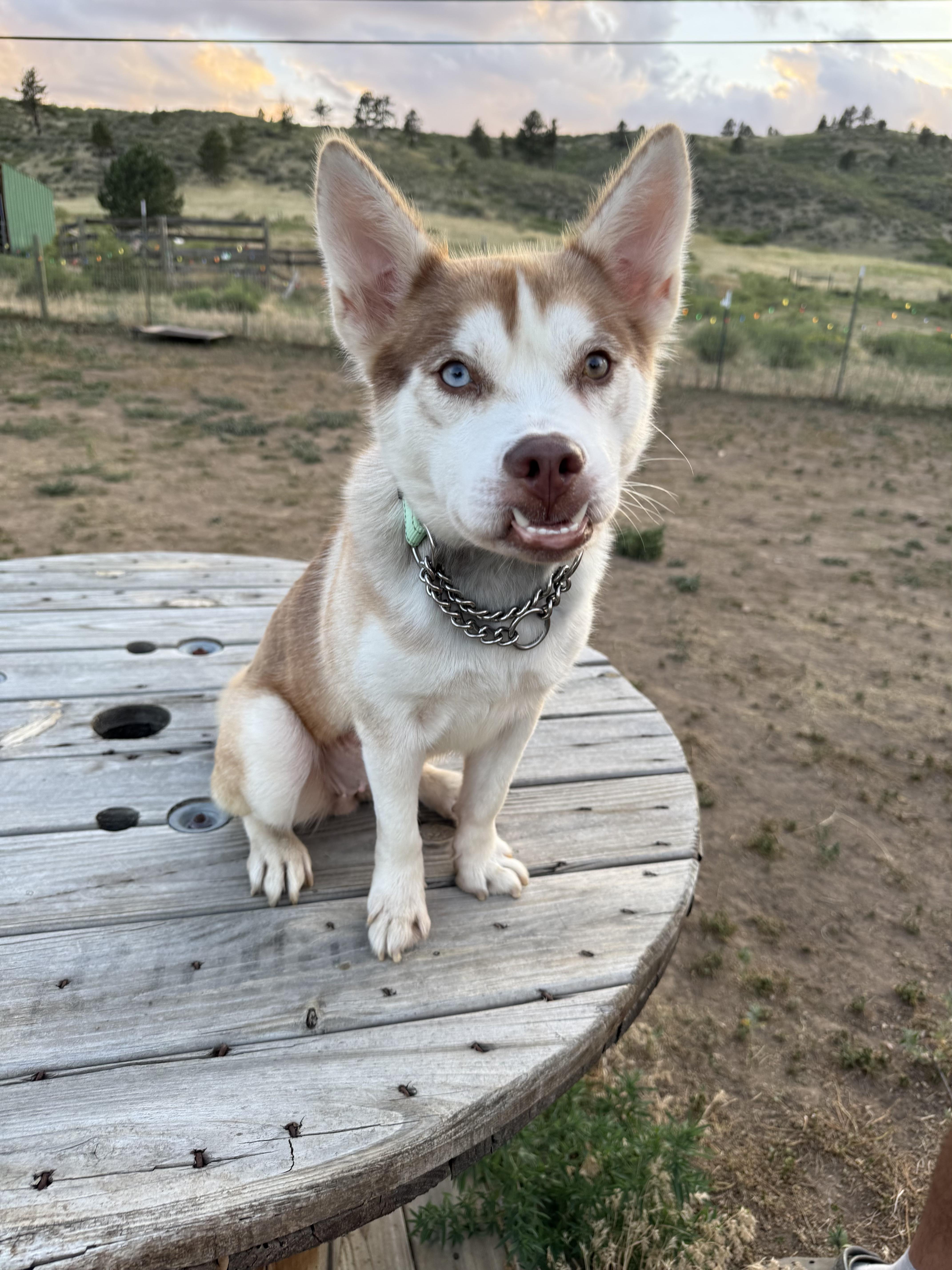 Luna