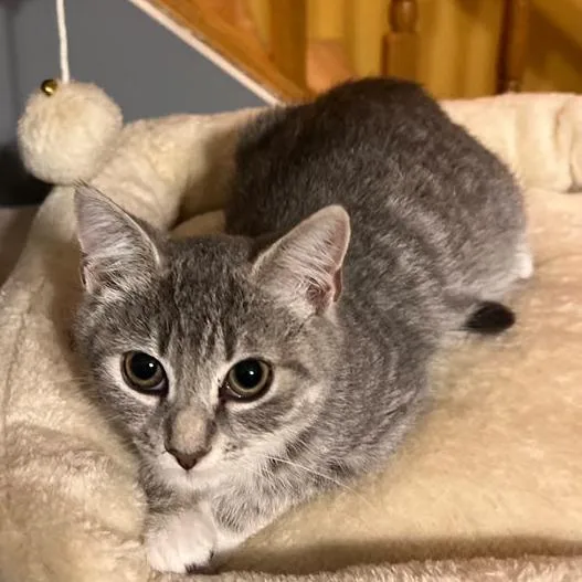 Melanie thumbnail 3