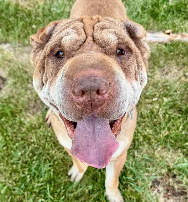 Zeus