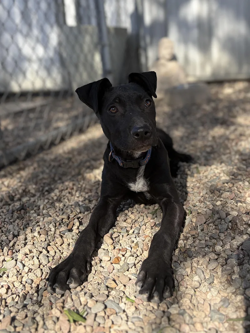 Midnight thumbnail 2