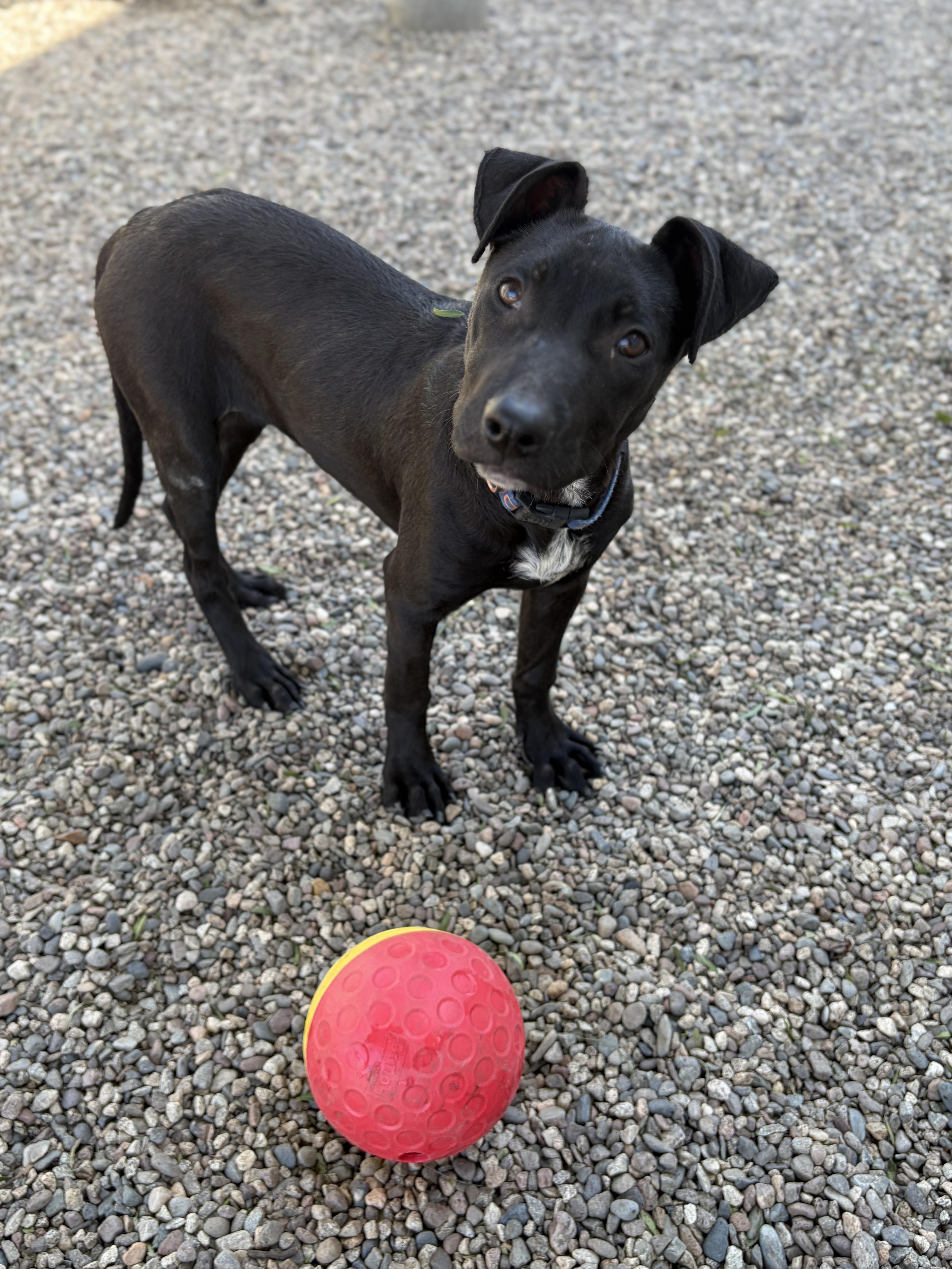 Midnight thumbnail 3