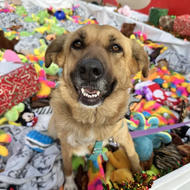 Pretty Girl thumbnail 3