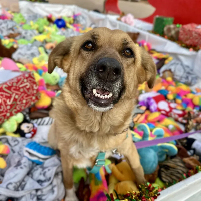 Pretty Girl thumbnail 4