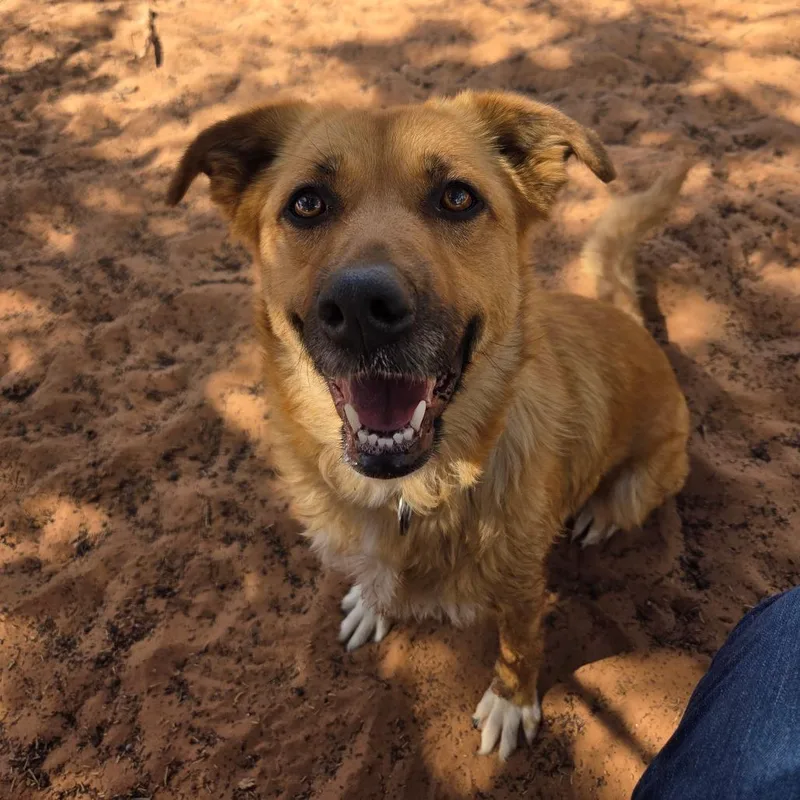 Pretty Girl thumbnail 6