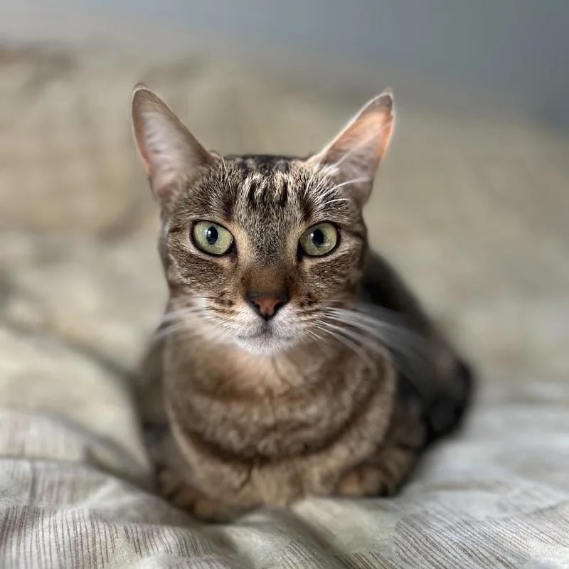 Little Bit thumbnail 2