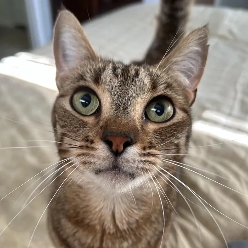 Little Bit thumbnail 3