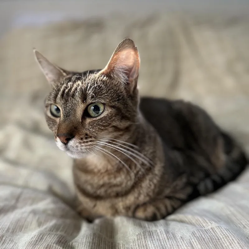 Little Bit thumbnail 4