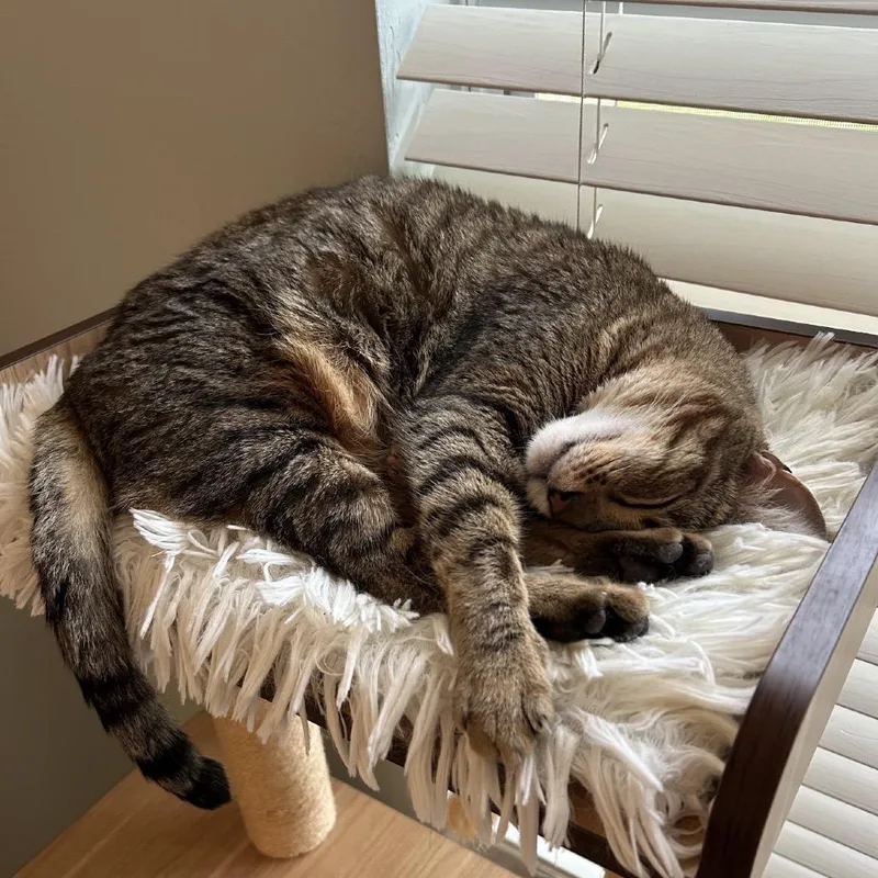 Little Bit thumbnail 5