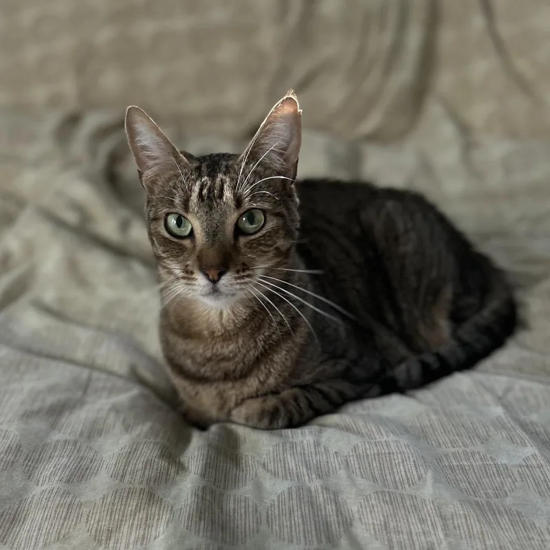 Little Bit thumbnail 6