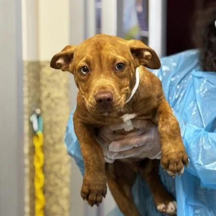 Cocacola thumbnail 2