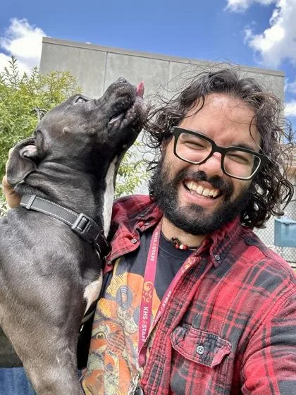 An adult large-sized male Black Mixed Breed dog named Paddington for adoption in Wichita, KS