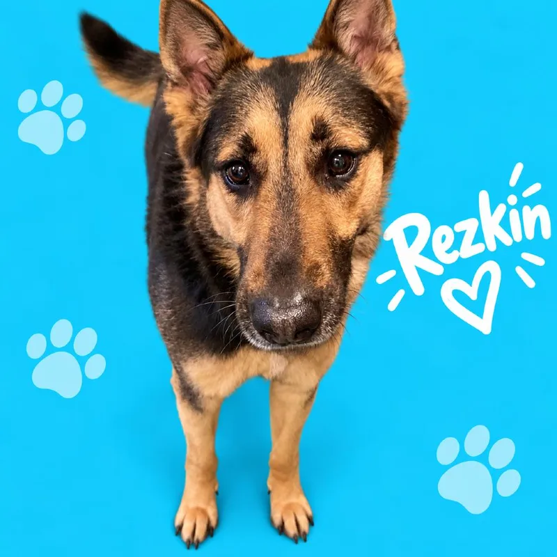 Rezkin thumbnail 2