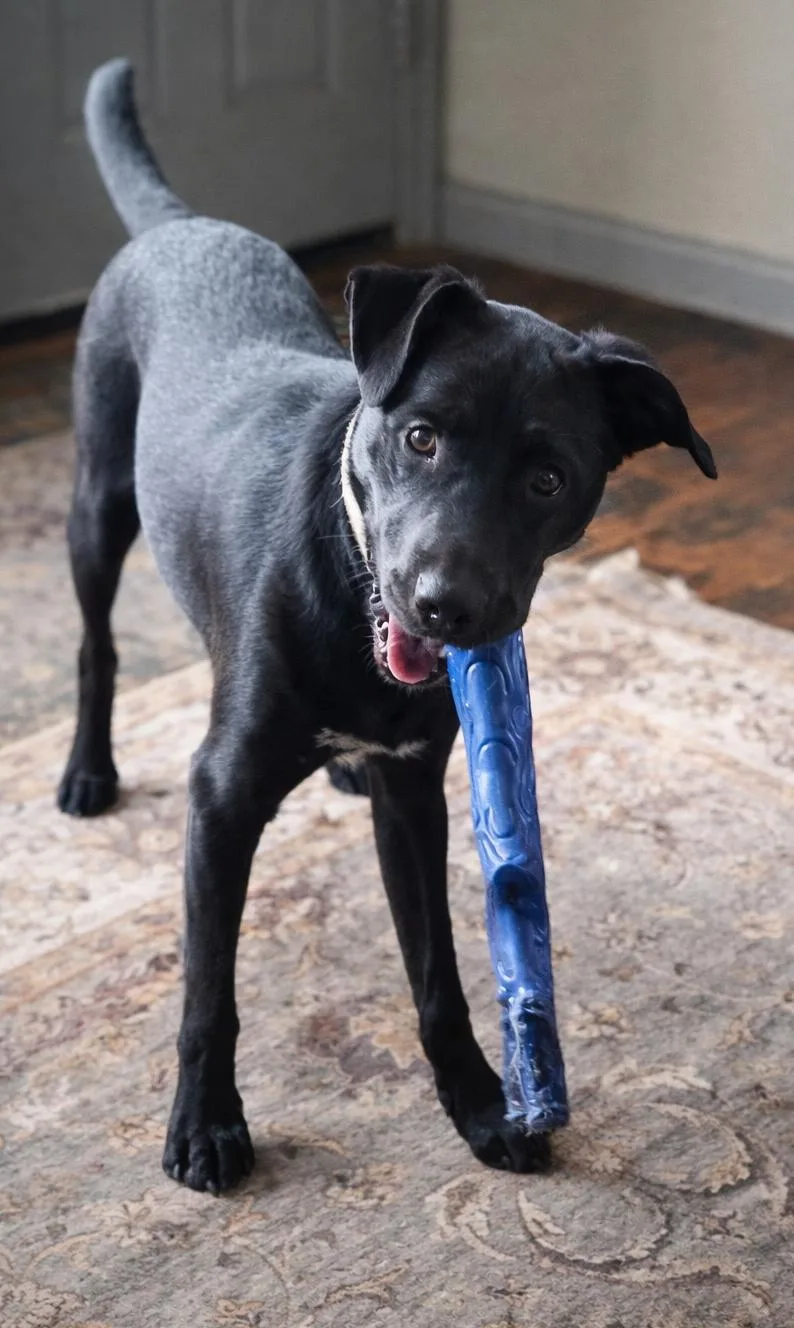 Etta Place thumbnail 2