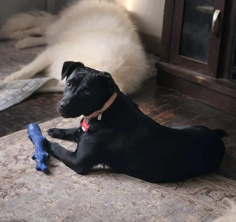 Etta Place thumbnail 3