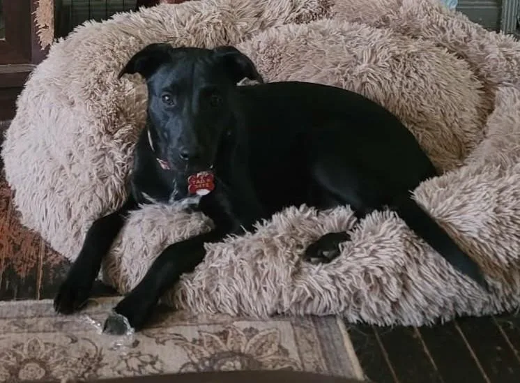 Etta Place thumbnail 4