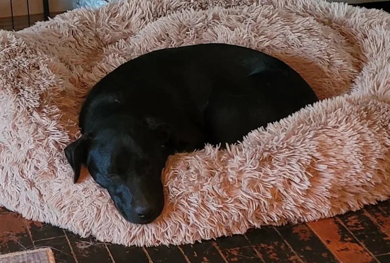 Etta Place thumbnail 5