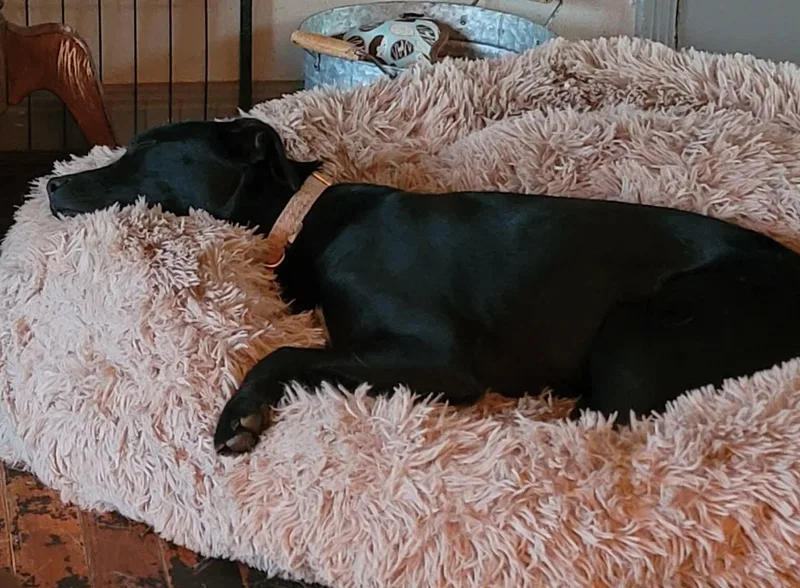 Etta Place thumbnail 6