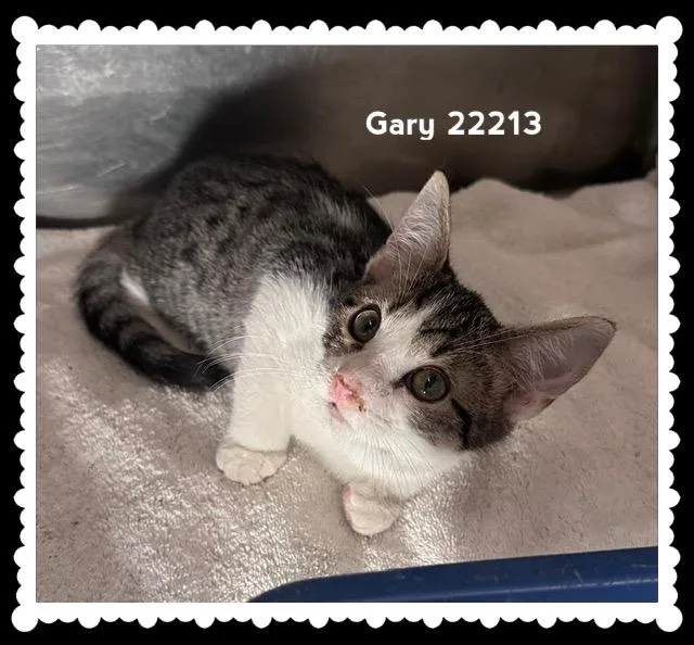 Gary thumbnail 3