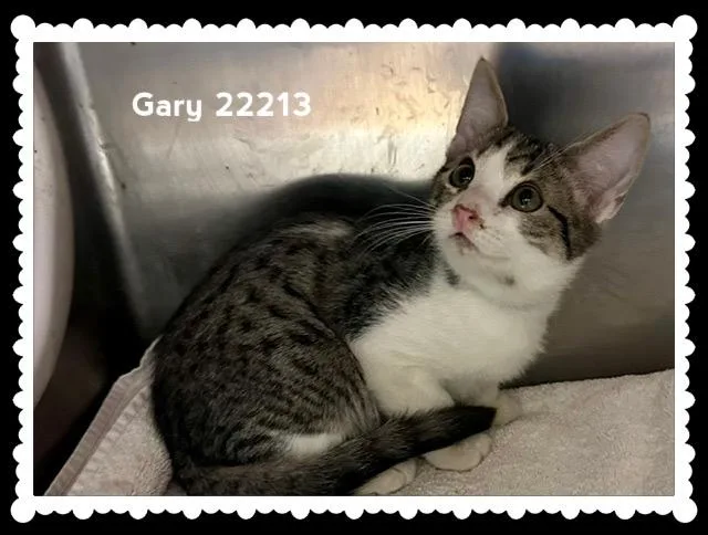 Gary thumbnail 4