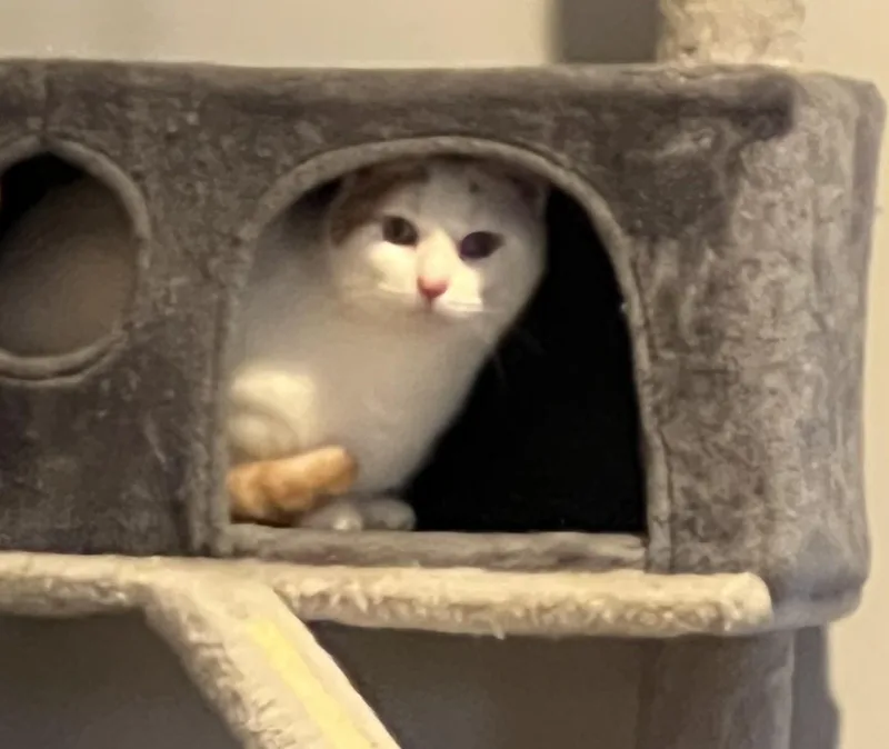 Champagne thumbnail 4