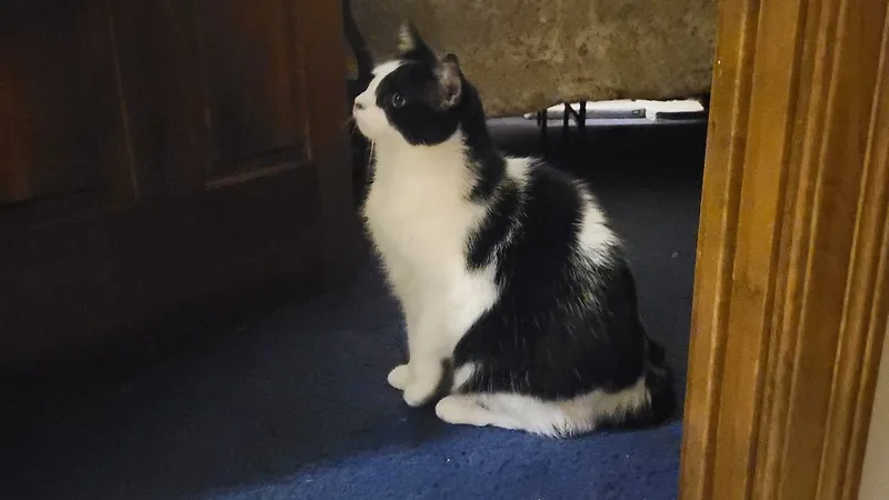 Charlie thumbnail 3
