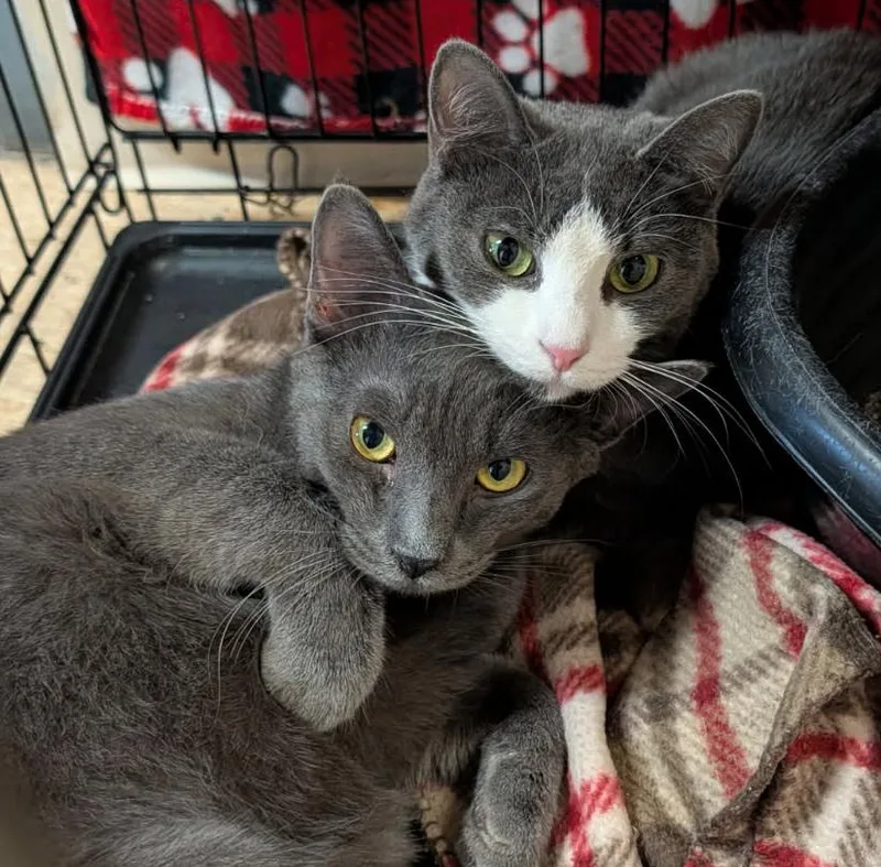 Mrs. Thumbs & Weebles thumbnail 3