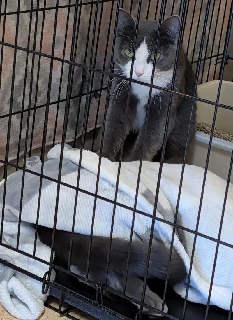 Mrs. Thumbs & Weebles thumbnail 5