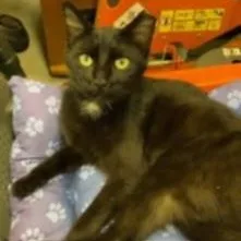 Buddy And Lillyann thumbnail 2