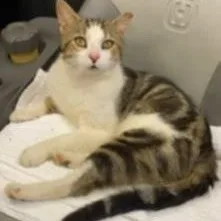 Buddy And Lillyann thumbnail 3