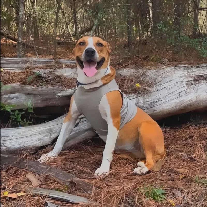 Karma > Bleeding Heart