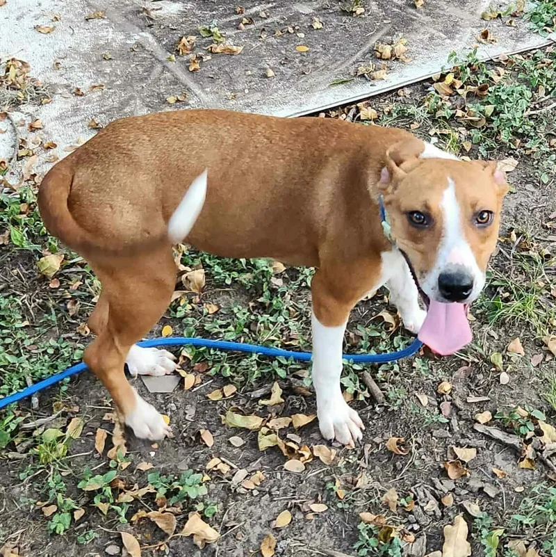 Karma > Bleeding Heart thumbnail 4