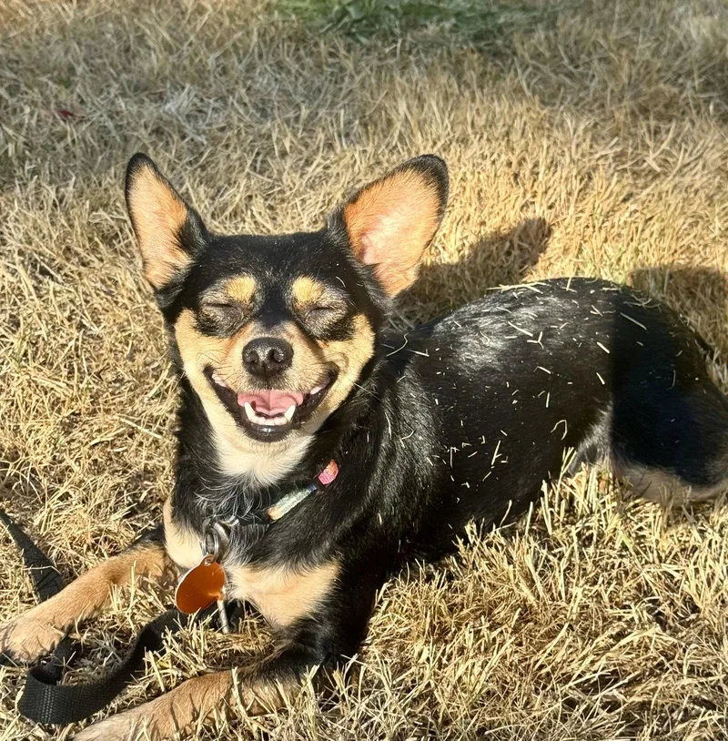 Mimi