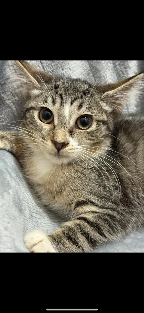 Claudette thumbnail 2