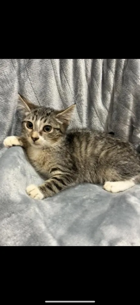 Claudette thumbnail 3