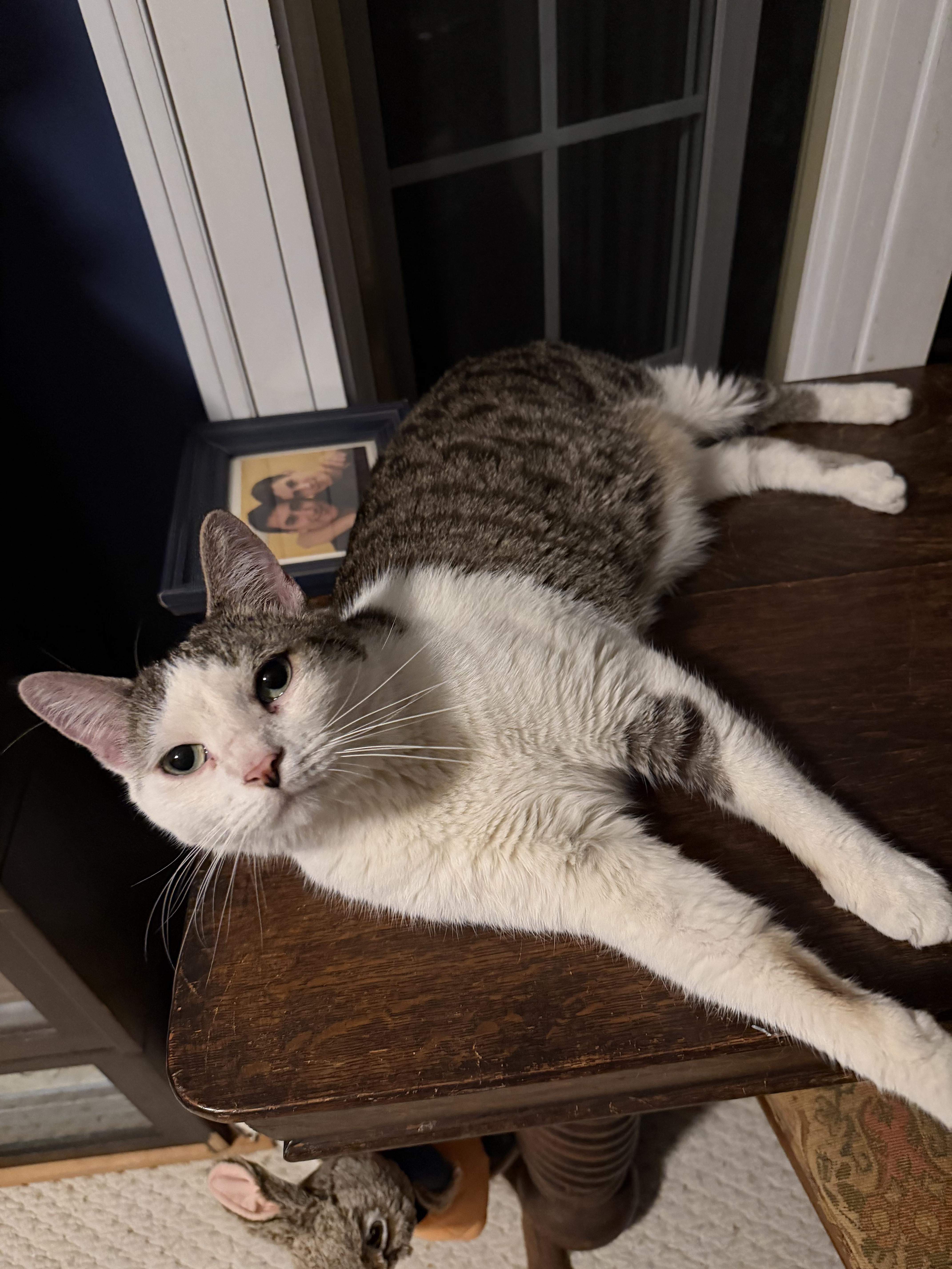 Perseus