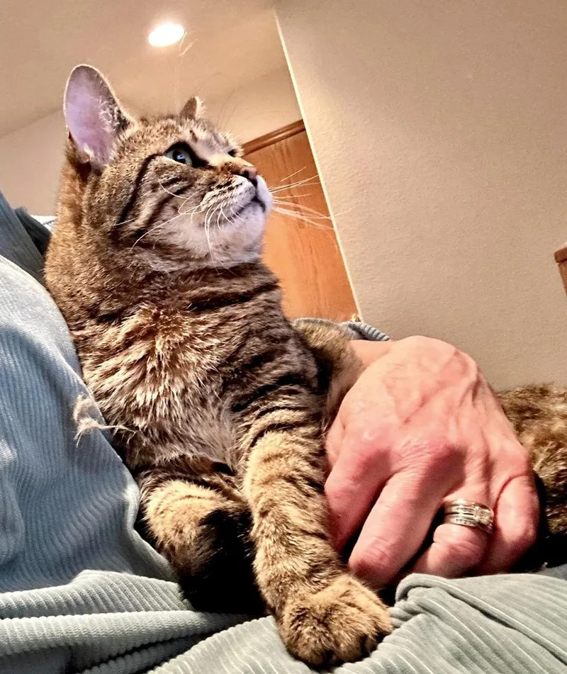 Maverick  Ch  thumbnail 3