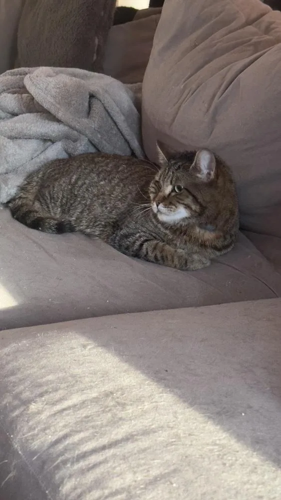 Maverick  Ch  thumbnail 5