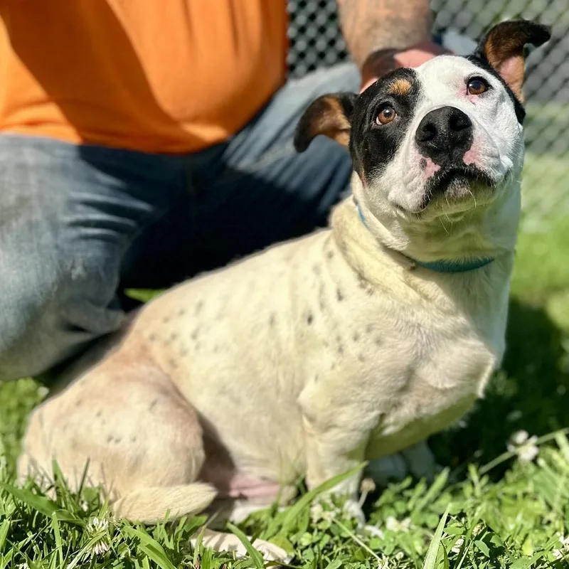 Ernie thumbnail 2