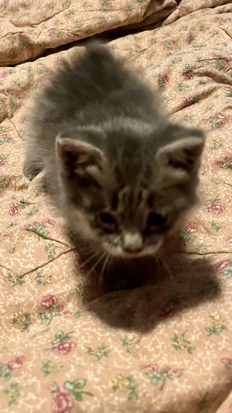 Stinky thumbnail 5