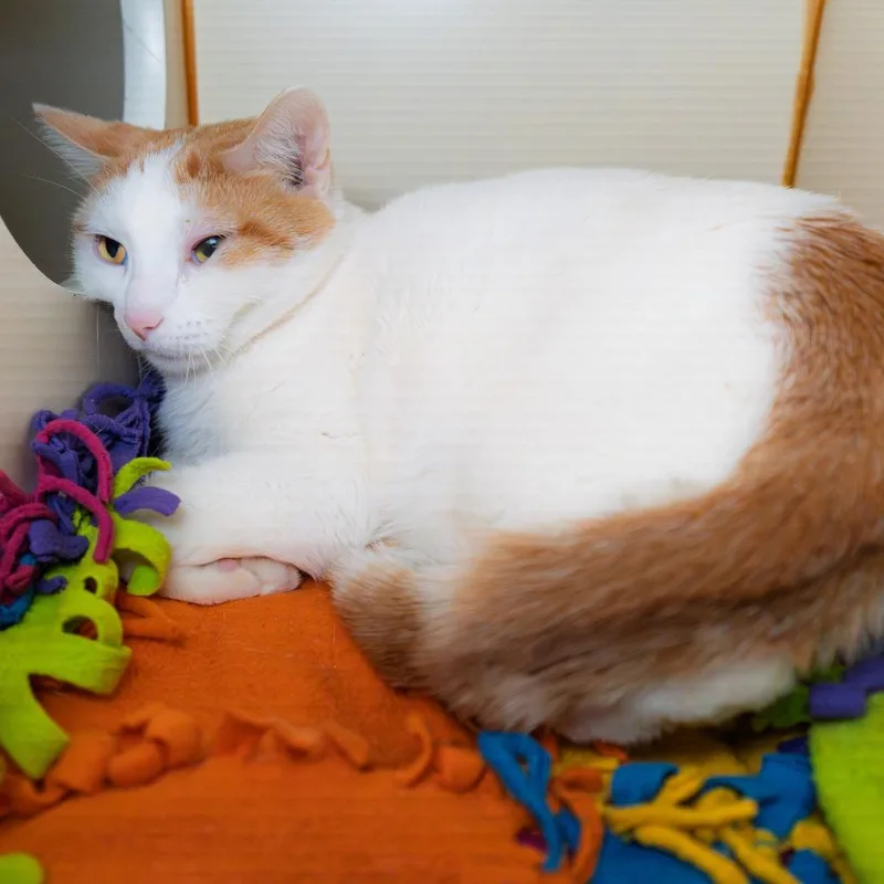 Princess Ruby thumbnail 2