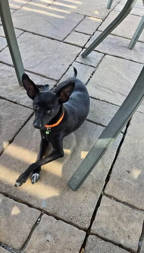 Collette thumbnail 2