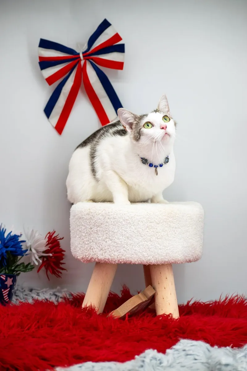 Gladys thumbnail 3