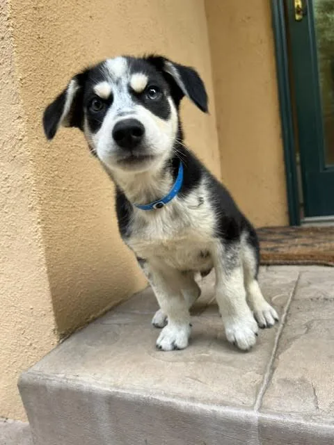 Eugene