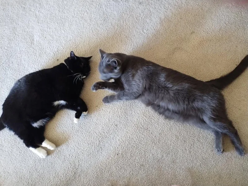Bootsy & Walter thumbnail 3