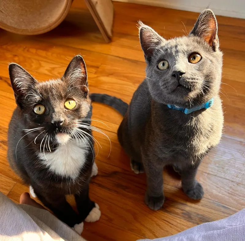 Bootsy & Walter thumbnail 4